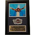 Lebron James 12x18 Custom Frame Print and Stat Plaque