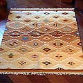 Peruvian Earth-tone Wool/ Cotton 'Tocapu Earth' Rug (4' x 6')