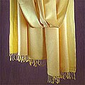 Pashmina 'Yellow Fanfare' Shawl (India)