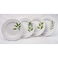 Culinary Herbs Dinner Plates (Set of 4)