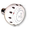 Moen Four-function Glacier Showerhead