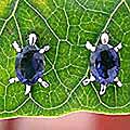 Sterling Silver Iolite 'Crystal Turtle' Button Earrings (India)