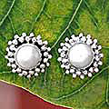 Pearl 'Moonbeams' Button Earrings (India) 