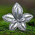 Sterling Silver 'Regal Orchid' Brooch (Indonesia)