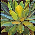 Jillian David Design Art 'Agave' Canvas Art