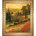 Art Fronckowiak 'Toscano Valley II' Framed Canvas Art