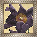 Joanne Nichols 'Kazehana I' Framed Canvas Art