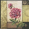 Kimberly Poloson 'Le Jardin Secret II' Canvas Art