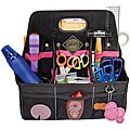 Tote-Ally Cool! Wild Berry/ Black Desktop Tools Tote