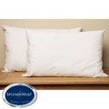 Angel Soft Traditional Queen-size Sleeping Pillows (Pack of 2)