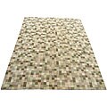 Indo Tibetan Multicolor Wool Rug (8' x 11')