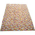 Indo Tibetan Multicolor Wool Rug (8' x 11')