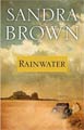 Rainwater (Hardcover)