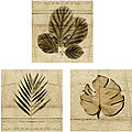 Miguel Paredes 'Gold Box Leaves' 3-piece Canvas Art Set