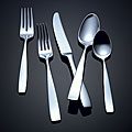 Yamazaki Belgrove 5-piece Flatware Place Setting