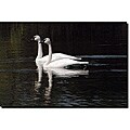 Kurt Shaffer 'Twin Swans' Gallery-wrapped Canvas Art