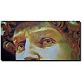 David Wendel 'David' Gallery-wrapped Canvas Art