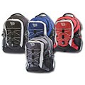 Urban Sport Honeycomb Bungee Backpack
