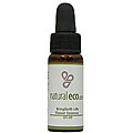 Bringforth Life Flower Essence