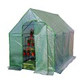 Garden Greenhouse (6' x 10')