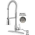 Sherisah Kitchen Faucet with Plate and Soap Dispenser