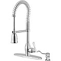 Sherisah Chrome Kitchen Faucet/ Soap Dispenser