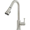 Pintah Satin Nickel Single Lever Kitchen Faucet