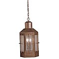 Olde Bronze 2-light Hanging Outdoor Pendant