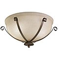 Legacy Bronze 2-light Outdoor Ceiling Fixture