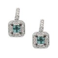 10k Gold 1/2ct TDW Blue and White Diamond Earrings (J, I1-I2)