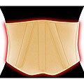 Capsaicin Heat Treatment Back Support
