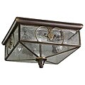 Light Oil-rubbed Bronze 4-light Outdoor Ceiling Fixture
