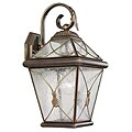 Light Oil-rubbed Bronze Outdoor Wall Light