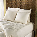 Joseph Abboud 260 Thread Count Feather Pillows (Set of 2)