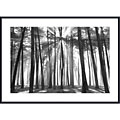 Chris Honeysett 'Sunburst, San Francisco Presidio' Framed Print