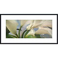 Huntington Witherill 'Calla Lilies #28' Framed Art Print