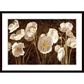Ives McColl 'Baroque Poppies' Framed Art Print