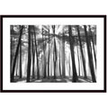Honeysett 'Sunburst, San Francisco Presido' Wood Framed Print