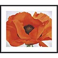 Georgia Okeefe 'Red Poppy' Metal Framed Art Print
