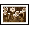 Ives McColl 'Baroque Tulips' Wood Framed Art Print