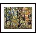 Joseph Holmes 'Maples and Birches' Wood Framed Art Print