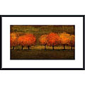 Seth Winegar 'Red Trees II' Metal Framed Art Print