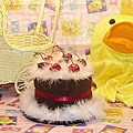 Chocolate Cherry Baby Blanket