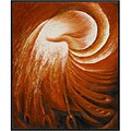 'Phoenix Phenomenon' Hand-painted Oil on Canvas Art