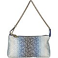 Fendi Forever Canvas Multi-blue/ Ombre Pouchette