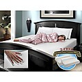 10-inch Memory Foam Firm Support Queen-size Mattress with Pillows