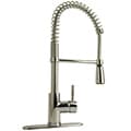 Pro Series Pull-down Kitchen Faucet