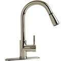 Pro Series Chrome Pull-down Kitchen Faucet