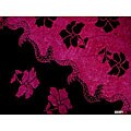 Hibiscus Purple/ Black Sarong (Indonesia)