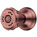 Danze D460165AC Two-function Wall-mount Showerhead